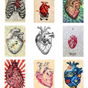 CORAZONES DE SAN VALENTÍN Anatomía Dibujos anatómicos Corazones anatómicos Gráficos digitales Hoja de collage digital Descarga instantánea Rectángulos
