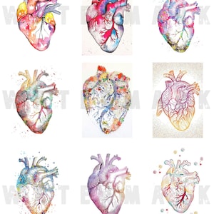 CORAZONES ACUARELA CORAZÓN Anatomía Dibujos anatómicos Corazones anatómicos Gráficos digitales Hoja de collage digital Descarga instantánea Rectángulos