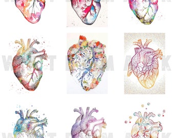 HEARTS WATERCOLOR HEART Anatomy Anatomical drawings Anatomical hearts Digital Graphics Digital Collage Sheet Instant Download rectangles