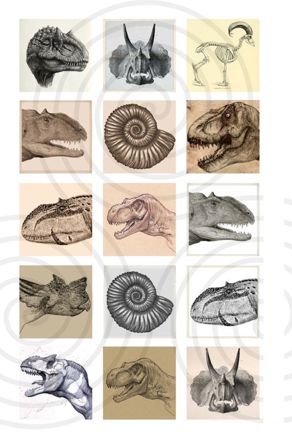 DINOSAURS dinosaur digital collage dinosaur graphics Prehistoric Fossils Reptiles Digital Collage Instant Download 1 inch squares