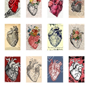 CORAZONES DEL DÍA DE SAN VALENTÍN Anatomía Dibujos anatómicos Corazones anatómicos Gráficos digitales Hoja de collage digital Rectángulos de descarga instantánea
