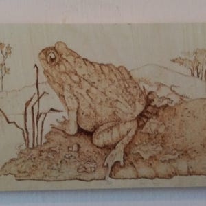 Può includere: Un'opera d'arte pirografata su legno raffigurante un rospo dettagliato appollaiato su una roccia. L'opera, nei toni del marrone, presenta un paesaggio con vegetazione rada e una collina lontana. La firma dell'artista è visibile.