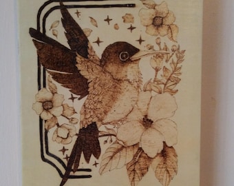 Plump Hummingbird Illustration
