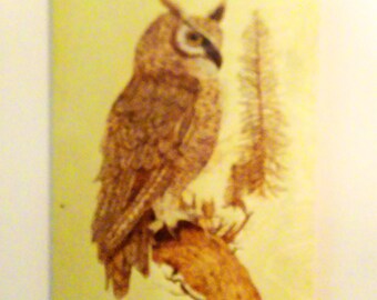 Búho cornudo quemado en madera