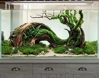 Bonsai driftwood aquarium decor natural aquascape wood moss tree fish tank ornament