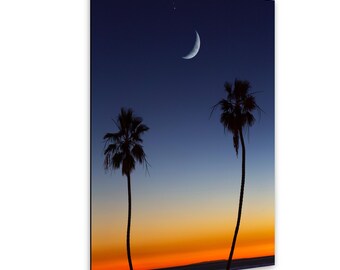 Twin Palms Sunset, San Clemente, CA – Stampa verticale