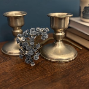 May include: Two antique silver-toned candle holders with a classic design. The candle holders are displayed on a dark wooden surface, with a sprig of blue flowers in between them. A stack of books and a decorative ceramic piece are in the background.