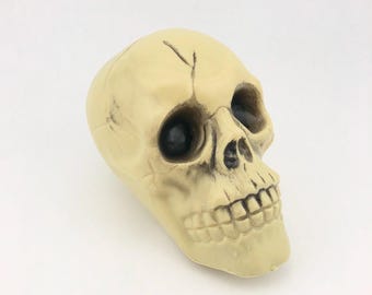 Vintage Halloween Plastic Skull Decor