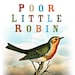Owner of <a href='https://www.etsy.com/shop/PoorLittleRobin?ref=l2-about-shopname&from_page=listing' class='wt-text-link'>PoorLittleRobin</a>
