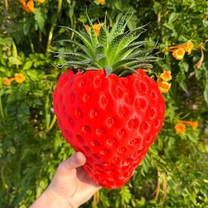 May include: A vibrant red, strawberry-shaped plant pot containing a green succulent. The pot has a textured surface with small, round indentations, resembling a strawberry. The background shows green foliage and orange flowers.