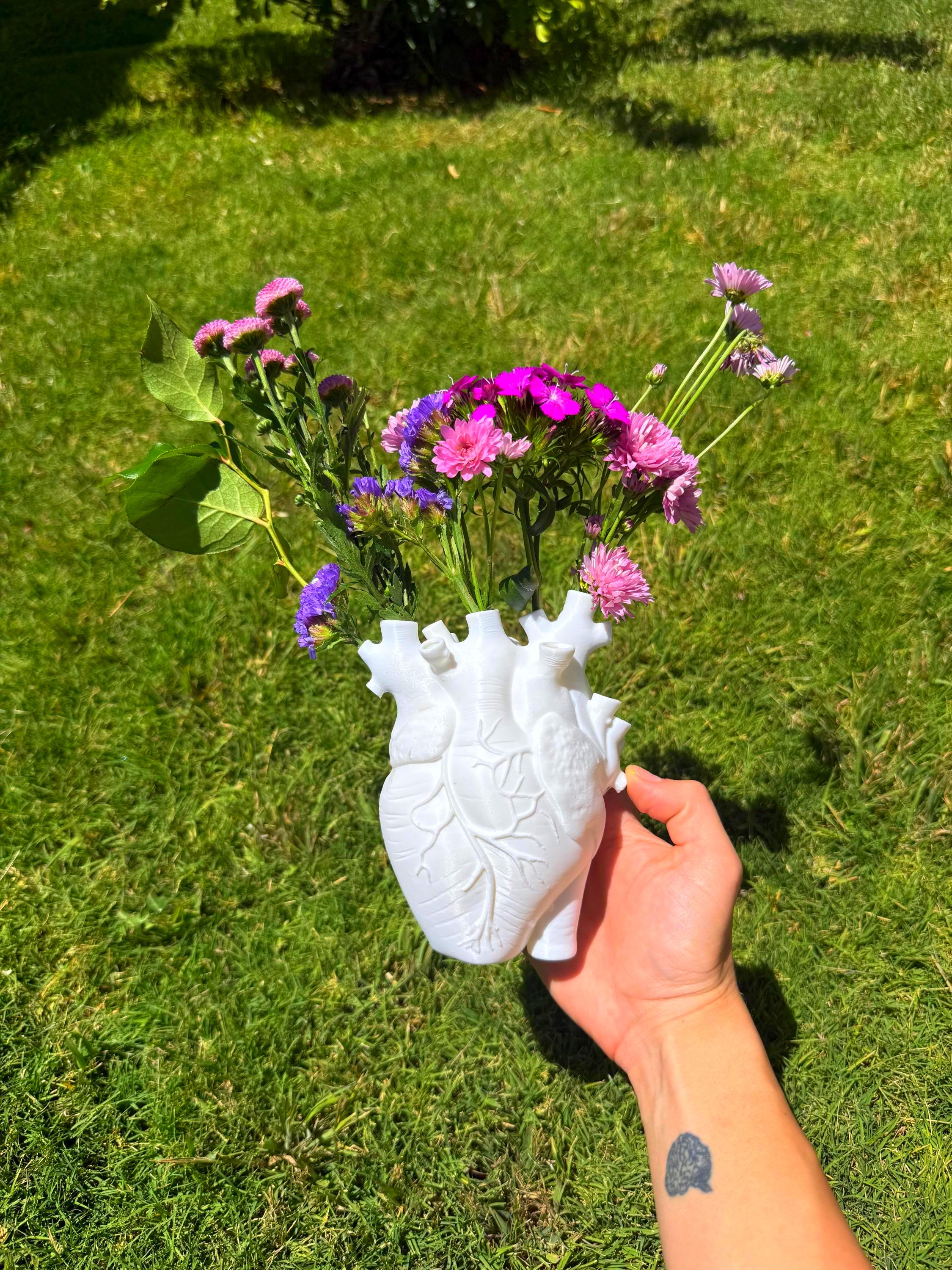 Anatomical heart vase / pot product image