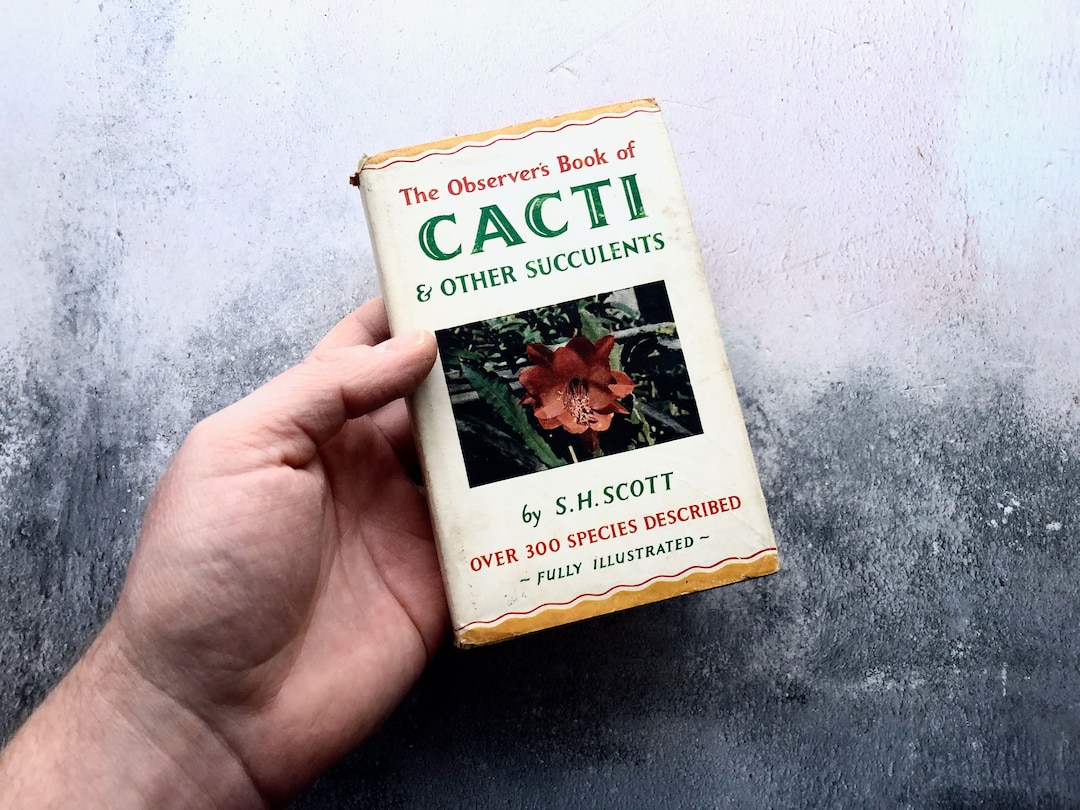 Vintage Observer's Book of Cacti & Other Succulents Hardback 1964 Etsy