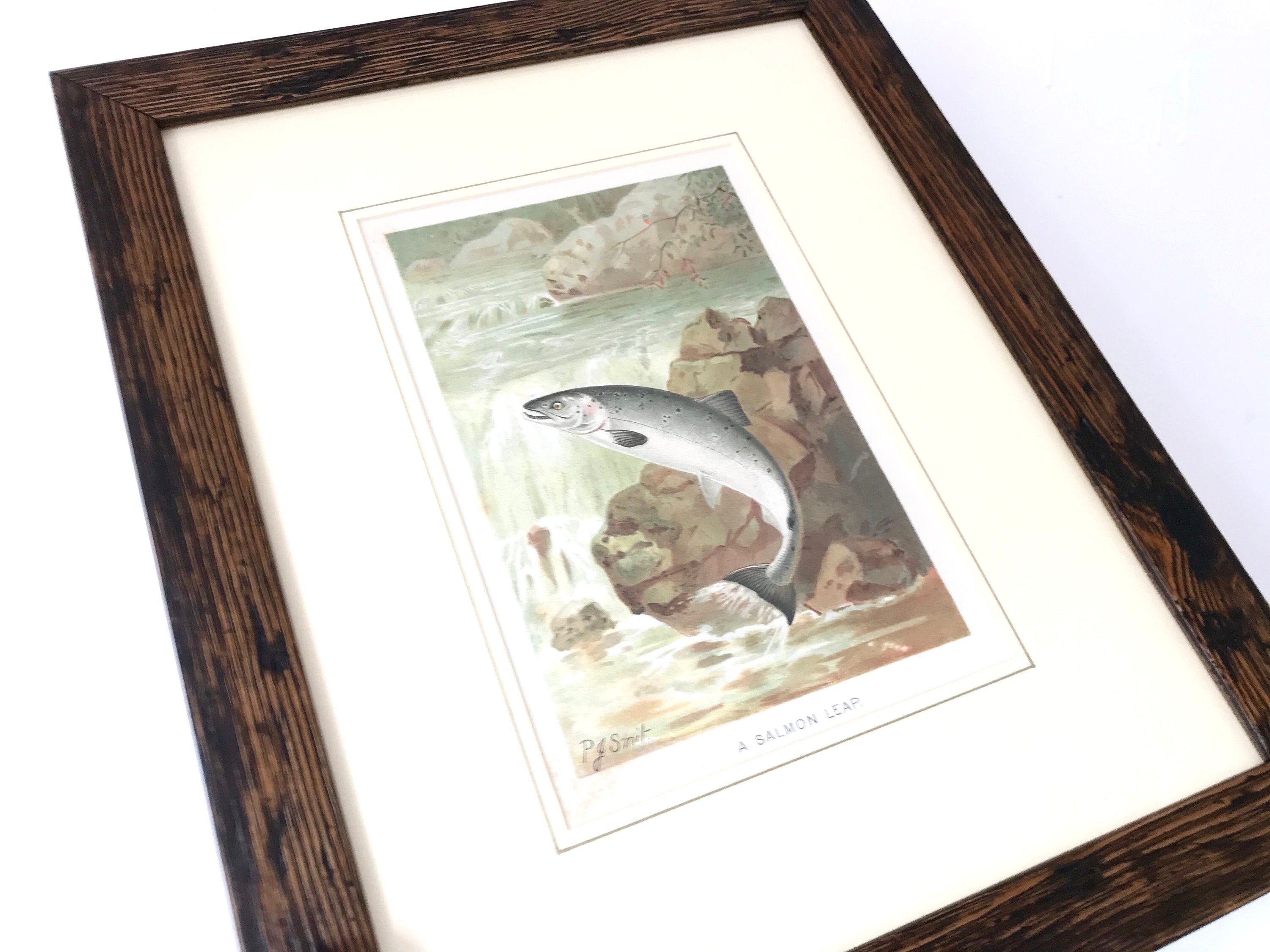 Antique 'A Salmon Leap' Print Professionally Framed Etsy