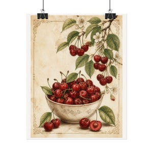Cherry Wall Art, Vintage Fruit Print, Kitchen Wall Decor, Neutral Aesthetic Kitchen Decor, Farmhouse Wall Art, Fruit Poster image 4