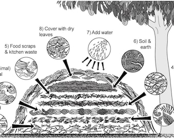 Sustainable Nutrition Manual, permaculture eduction, permaculture pdf, teaching resources, manual to download, Never Ending Food