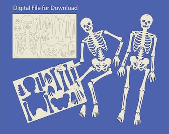 Skeleton SVG, Halloween decor, skeleton laser cut, vector design, Day of the Dead fun, halloween party, home schooling,  kids party game