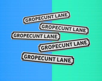 Gropecunt Lane Novelty Street Sign: Saucy Gift