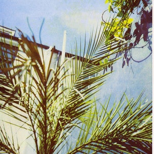 Palm II - A3 Risograph print - leaves - natural -