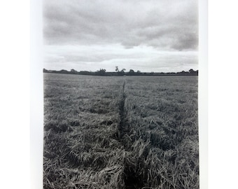 Impression photo B&W 03: Champ