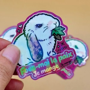 Può includere: Un adesivo olografico raffigurante un coniglio ariete bianco con un'espressione imbronciata, mentre mangia una foglia verde. L'adesivo presenta un bordo magenta vivace e include il testo in francese "Fous-moi la paix Je mange" in grassetto.