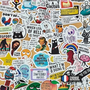 Op de afbeelding: Een verzameling diverse vinylstickers met verschillende humoristische illustraties, skeletten, dieren en tekstgebaseerde citaten, waaronder zinnen als I am a spicy disaster, One mental breakdown later en Hello I am probably anxious.