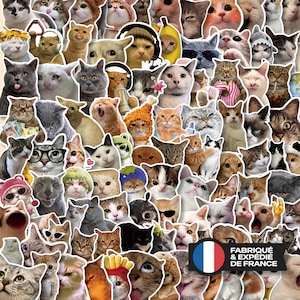 Puede incluir: Una gran colección de pegatinas de gatos variados con diferentes razas, expresiones y disfraces, incluyendo gatos con sombreros, gafas y auriculares, con una banda negra que muestra el texto FABRIQUÉ & EXPÉDIÉ DE FRANCE.