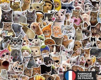 Lot de 50/100/130 stickers chats rigolos,stickers chats mème, mignons,pour ordinateur,bouteille d'eau,ados,filles, cadeau amoureux des chats