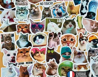 Puede incluir: Una colección de pegatinas de gatos variados con diferentes razas, expresiones y poses, incluyendo gatos con sombreros, gafas de sol y disfraces, con algunas pegatinas que muestran texto como OMG, NO TOUCHY, LOL y MEOW-MEOW.