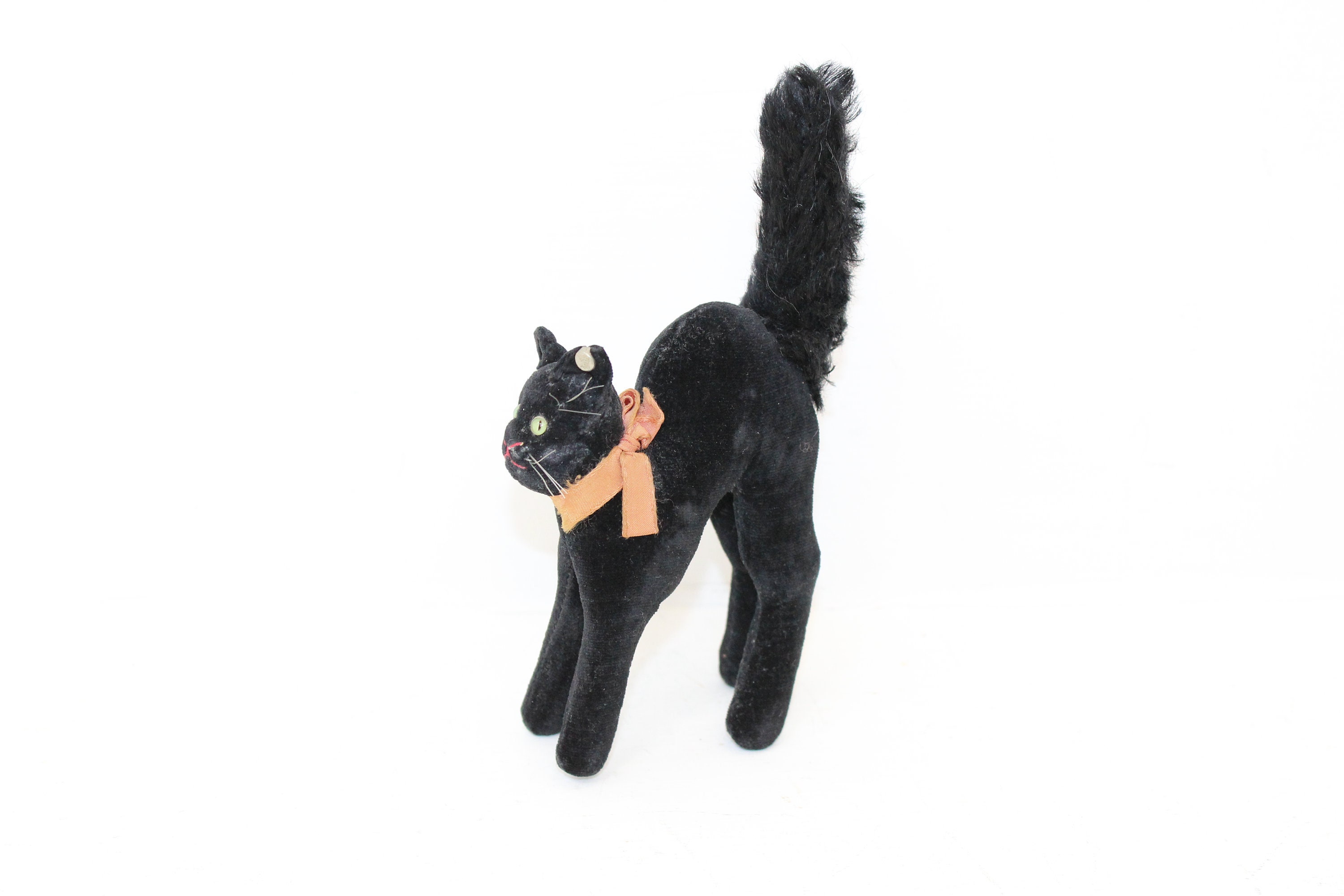 tom cat teddy