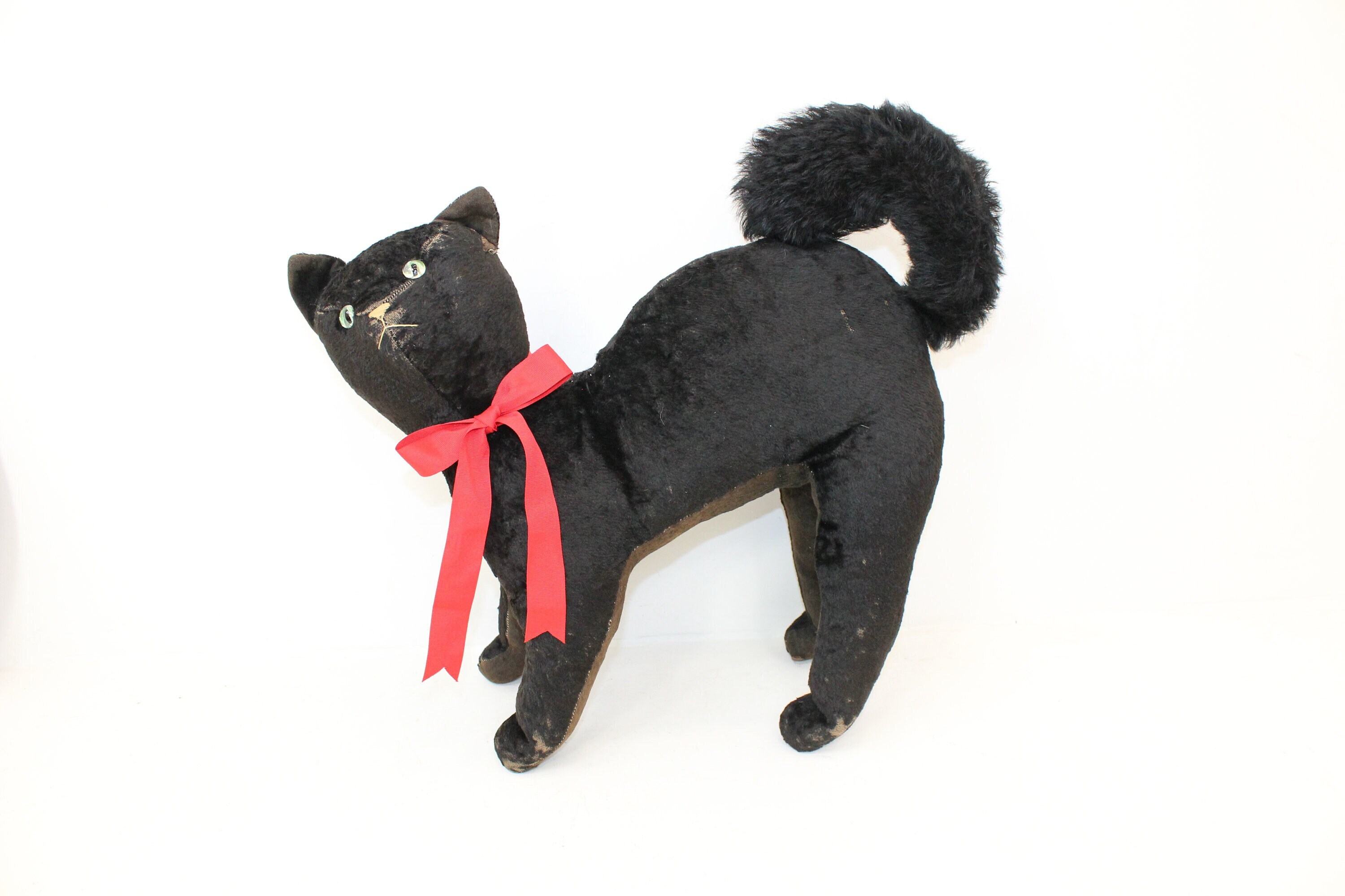 tom cat teddy