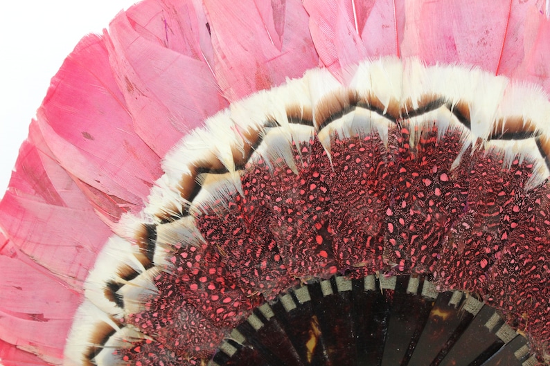 Antique Victorian pink feather fan folding hand fan celluloid staves