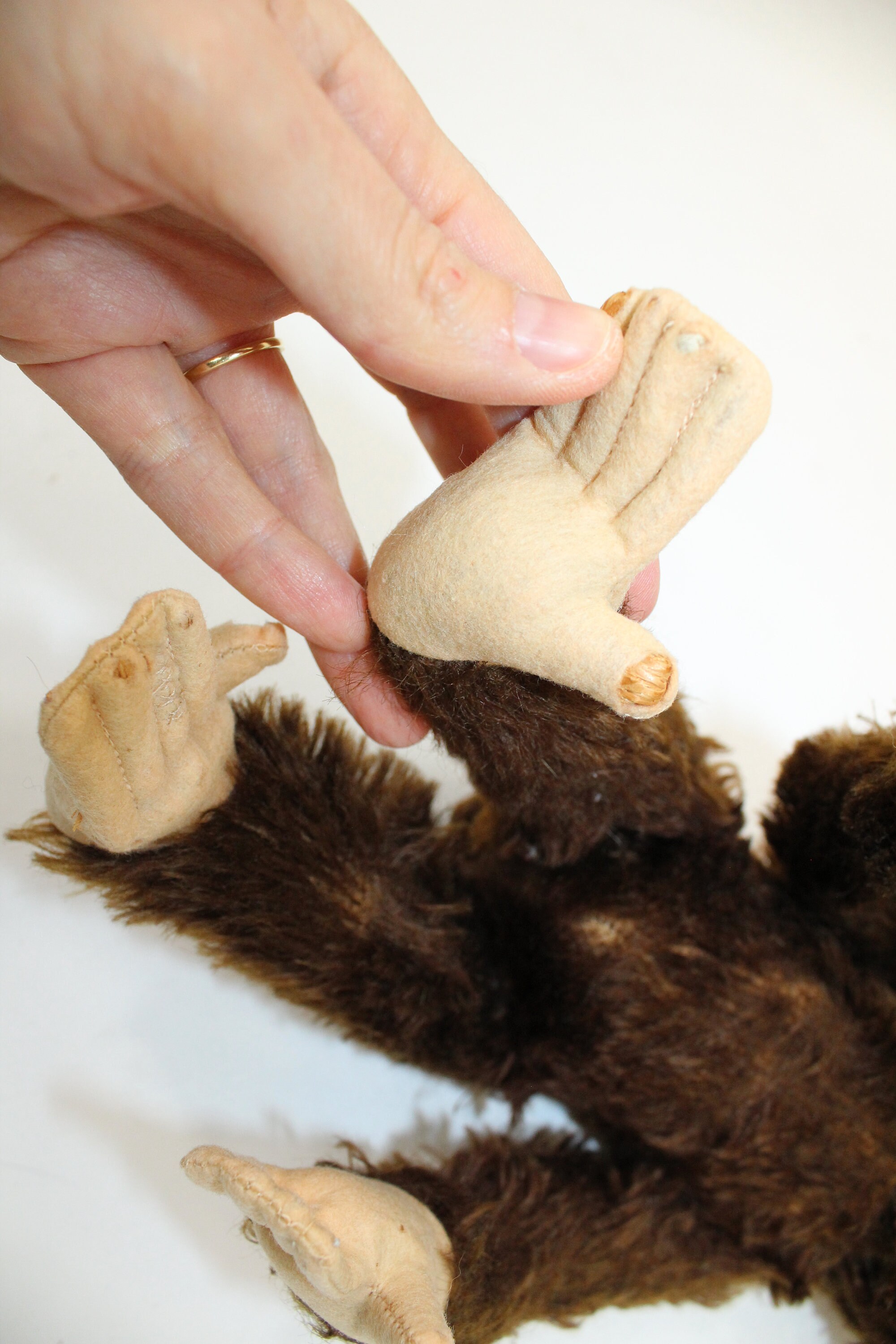 ヴィンテージ 1950 年代 シュコー イエス ノー モンキー チンパンジー