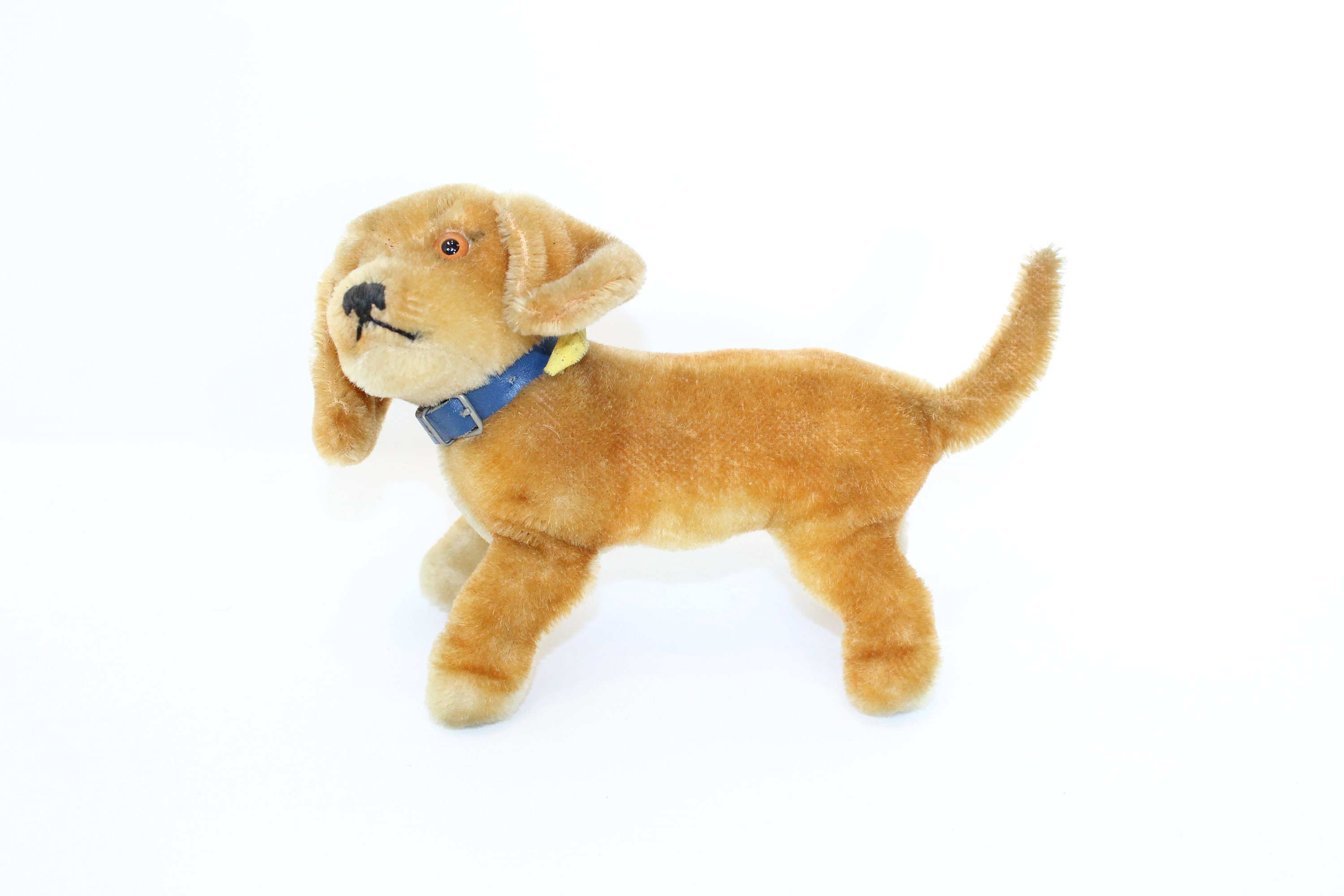 Vintage Steiff Dachshund Dog Puppy Bazi Mohair Soft Toy