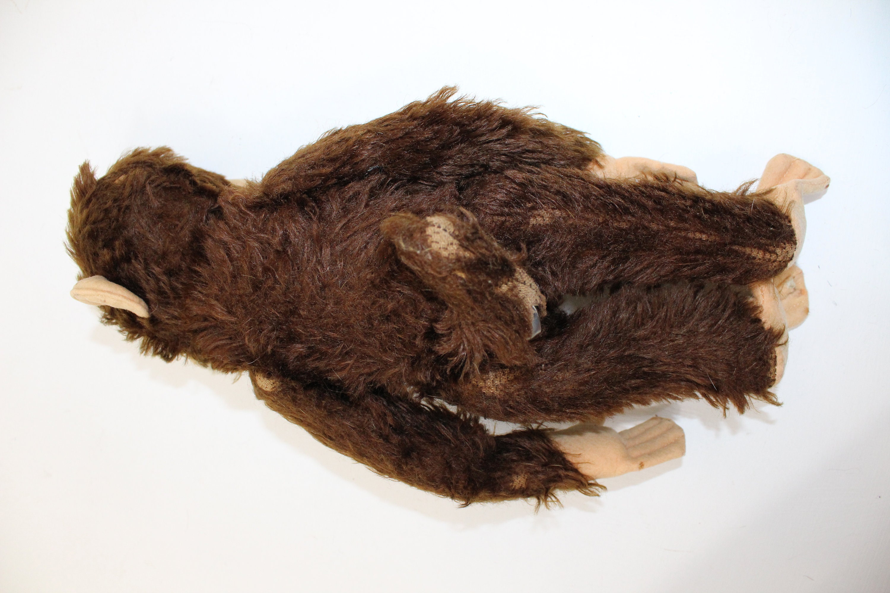 ヴィンテージ 1950 年代 シュコー イエス ノー モンキー チンパンジー