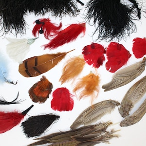Vintage collection of millinery hat real feathers plume milliners feather decoration ostrich pheasant etc