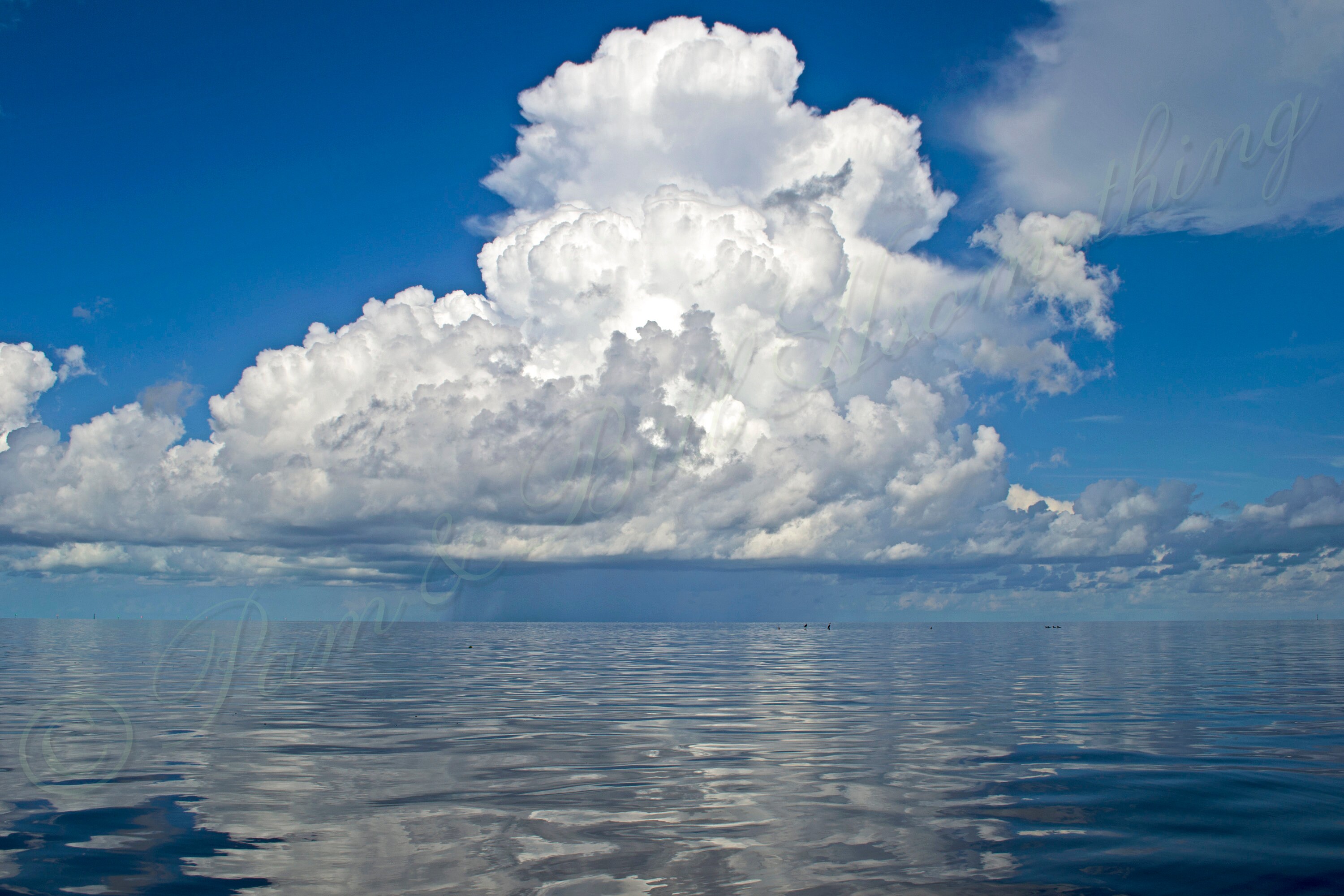 Popcorn Storm 2 Digital Download Printable Art Etsy