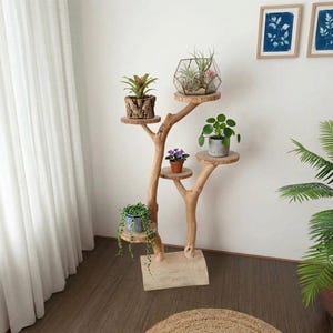 Op de afbeelding: Een meerlaagse plantenstandaard van natuurlijk hout met verschillende potplanten. De standaard heeft een boomachtig ontwerp met ronde houten planken. Planten zijn onder meer vetplanten, een viooltje en een hangplant. De standaard staat op een licht houten voet.
