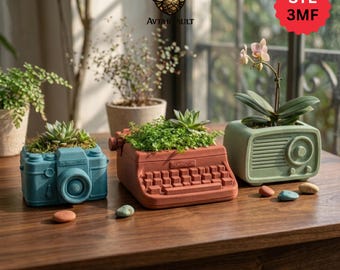 Può includere: Tre vasi decorativi a forma di fotocamera blu, macchina da scrivere rossa con la scritta REMINGTON e radio verde chiaro, contenenti piante grasse o un'orchidea rosa, disposti su una superficie in legno con piccoli ciottoli.