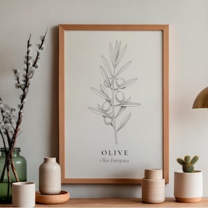 Peut inclure: Un cadre avec une impression botanique d'une branche d'olivier, avec le mot "OLIVE" et "Olea Europaea" en dessous. L'impression est sur une étagère en bois avec des vases décoratifs, un petit cactus et un vase en verre vert.