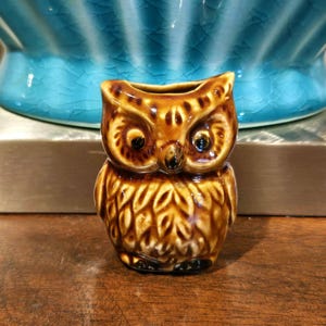 May include: A small, brown, glazed ceramic owl figurine with a hollow top opening. The owl features a detailed, textured feather pattern across its body, large round eyes, and a small beak, all finished with a glossy, crackled glaze.