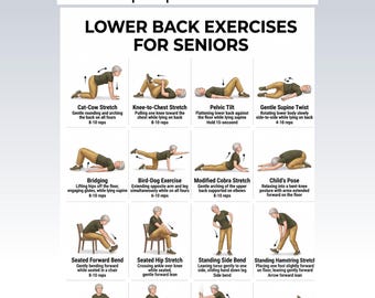 Ejercicios para la zona lumbar para personas mayores (PDF imprimible): 16 movimientos suaves para la espalda y la columna, tabla de ejercicios para personas mayores, fitness para la tercera edad, descarga instantánea.