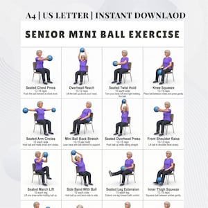 May include: A printed exercise guide titled "SENIOR MINI BALL EXERCISE" with illustrations of seated exercises. The guide includes exercises like Seated Chest Press, Overhead Reach, and Knee Squeeze, each with instructions and rep counts. The guide is designed for seniors.