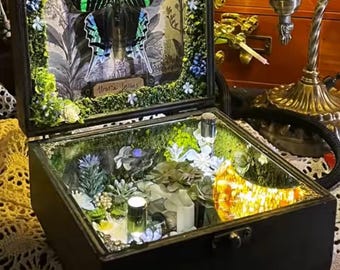 Vintage Rotierende Schmetterling Spieluhr Diorama, beleuchtete Wald Moos Schatten Box, Magische Cottagecore Curio