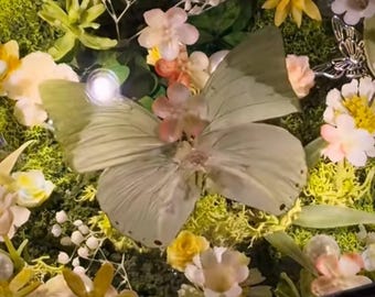 Caja del tesoro de arena movediza con mariposa mecánica vintage, diorama de flores del bosque hecho a mano, decoración Fairycore Curio