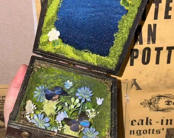 Cofre del tesoro antiguo, mariposa real, arena movediza, taxidermia, caja de sombra, diorama de bosque hecho a mano, decoración de rarezas y curiosidades