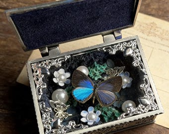 Vitrina de exhibición de mariposa disecada de estilo vintage, vitrina miniatura con detalles de perlas y flores, decoración para vitrina de curiosidades.