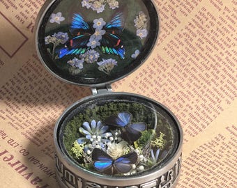 Ejemplar de mariposa azul prensada a mano en caja metálica egipcia, diorama de resina con flores secas, objeto de colección de entomología, curiosidades decorativas.