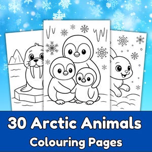 以下が含まれることがあります： セイウチ、ペンギン、ウサギなど、北極の動物が描かれた3つの塗り絵ページ。ページは白黒の線画です。画像は、雪の結晶が描かれた青色の背景と「30 Arctic Animals Colouring Pages」というテキストがあります。
