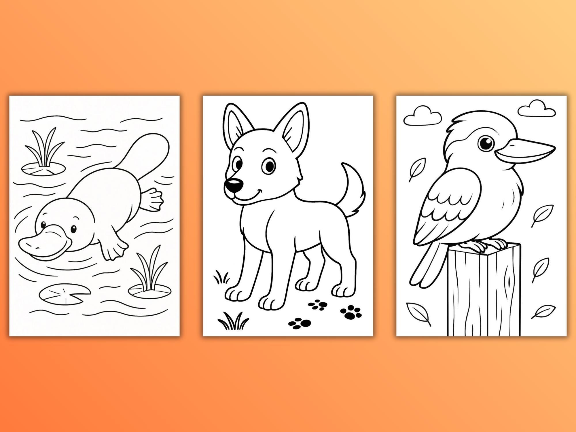 Outback Colouring 20 Australian Outback Colouring Pages | Aussie Animals Colouring | Kids ...