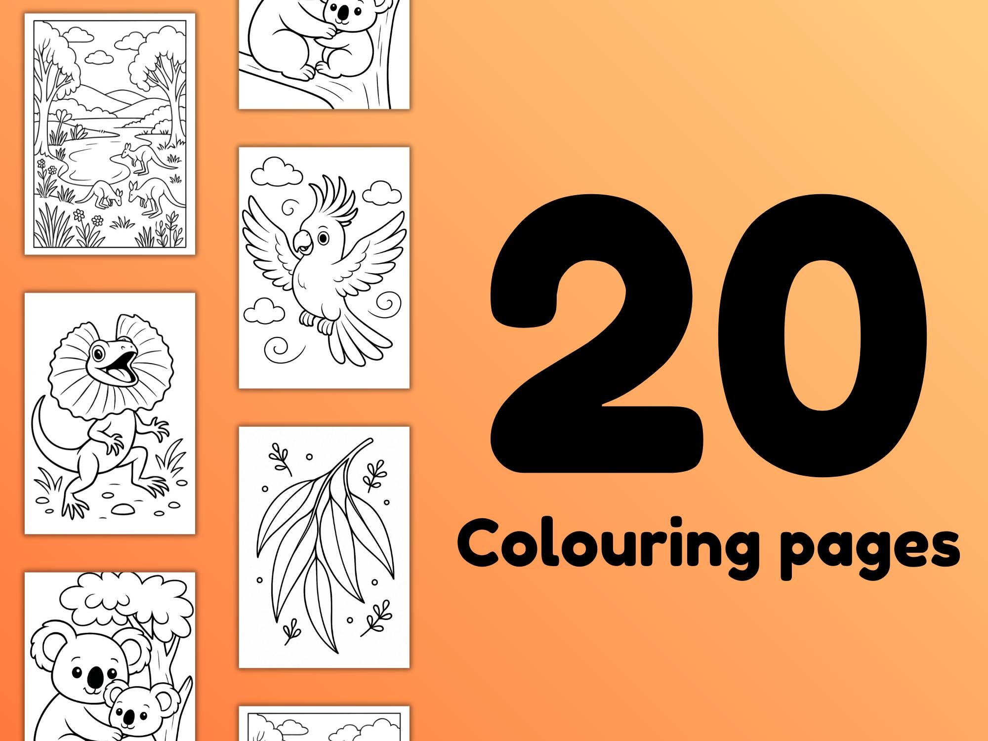 Outback Colouring 20 Australian Outback Colouring Pages | Aussie Animals Colouring | Kids ...